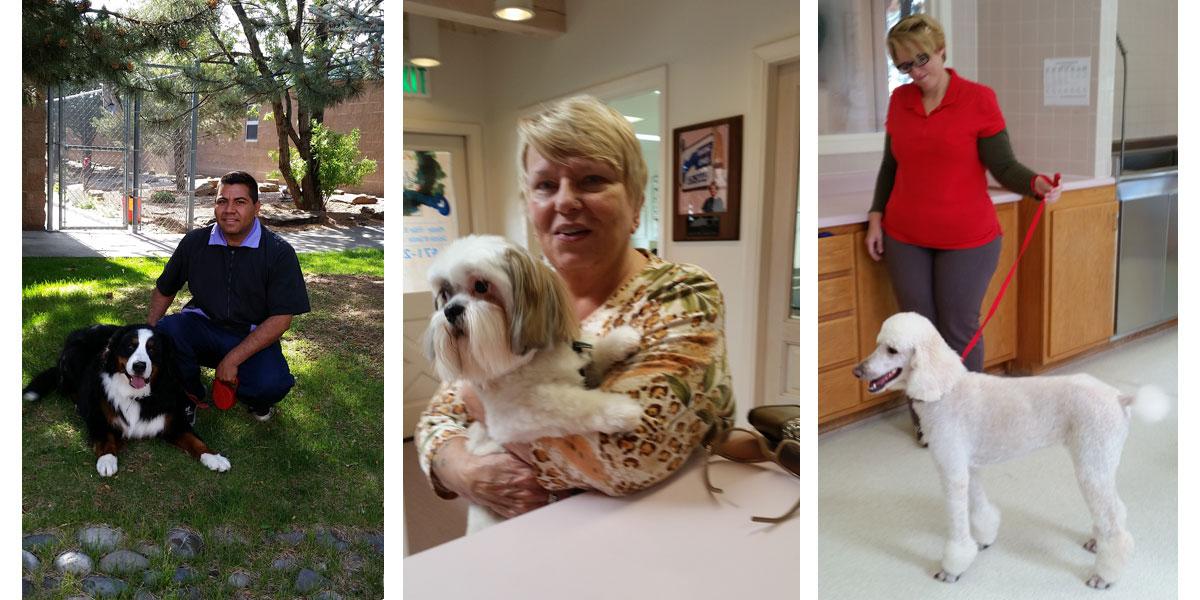 Santa Fe dog grooming bathing